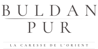 Mobile Logo